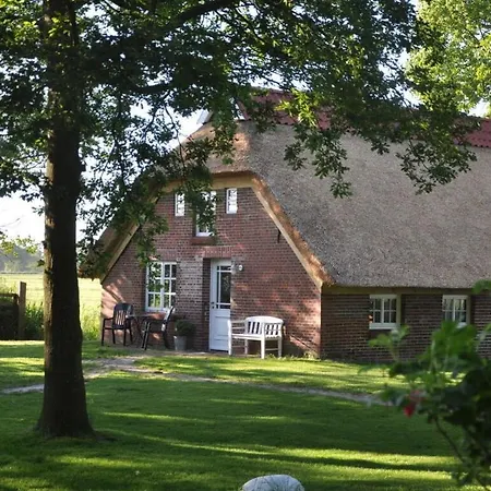 Thatchdachkate Sillenserwisch *
