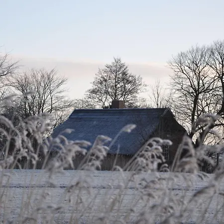Thatchdachkate Sillenserwisch Semesterbostad *