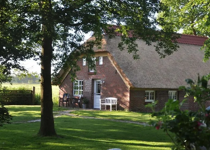 Thatchdachkate Sillenserwisch *